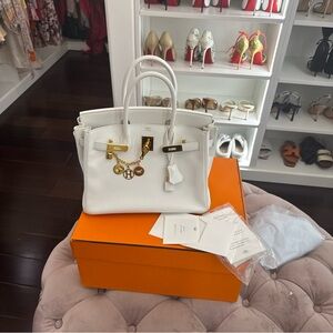 Limited addition Hermes Birkin pristine